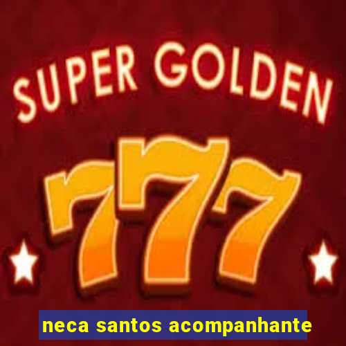 neca santos acompanhante